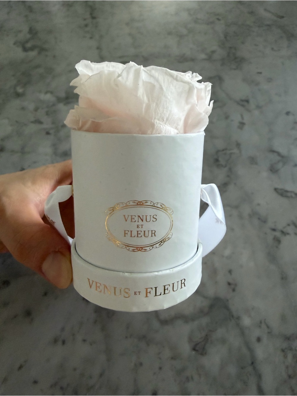 Venus Et Fleur x Patek Philippe special collaboration le mini